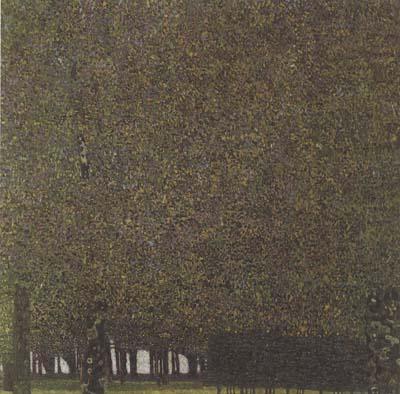 Gustav Klimt The Park (mk20) china oil painting image